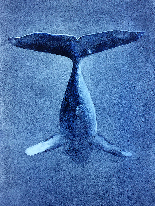 vitrail "Baleine"