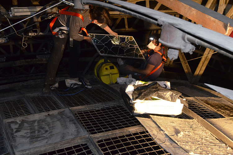 La coupole du Printemps Haussmenn